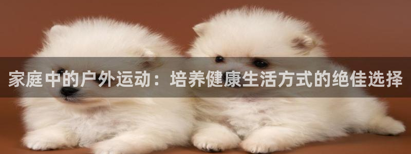 欧亿体育官方正版app新能源:家庭中的户外运动:培养健康生活