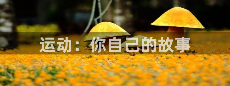 oety欧亿体育官网下载招商电话:运动:你自己的故事