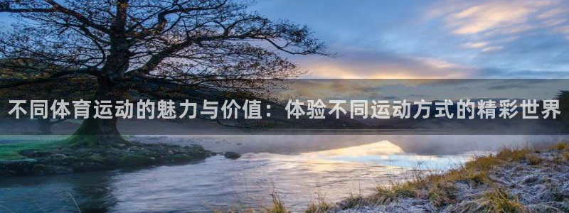 欧亿体育官方正版app官网:不同体育运动的魅力与价值:体验不